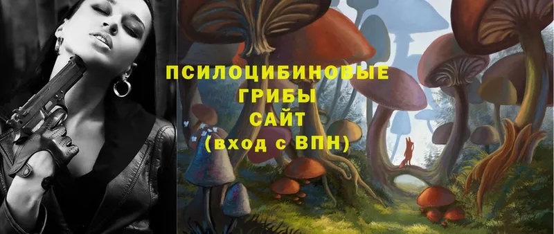 Галлюциногенные грибы Psilocybe  даркнет сайт  Сельцо 